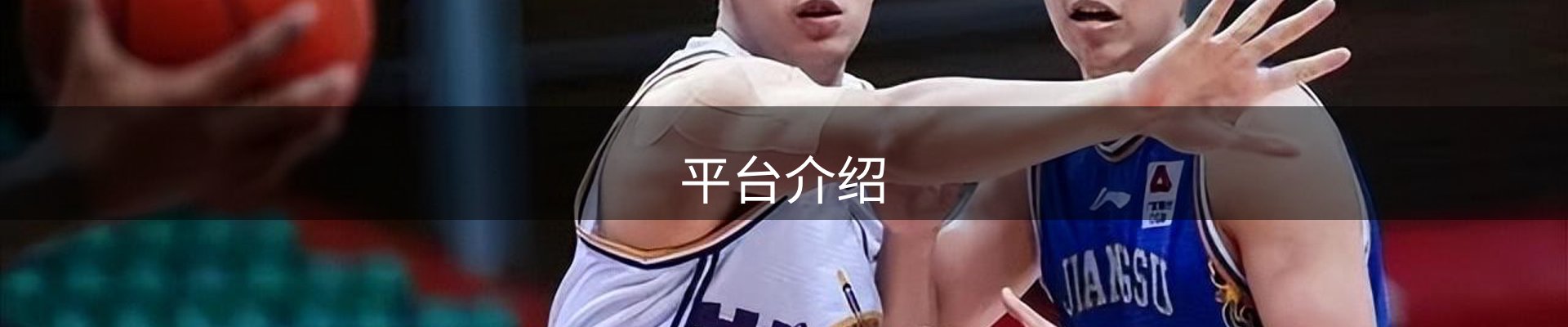 平台介绍